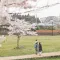 散步小记