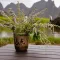 近况：桂林，树莓派，以及我的 RSS Feed