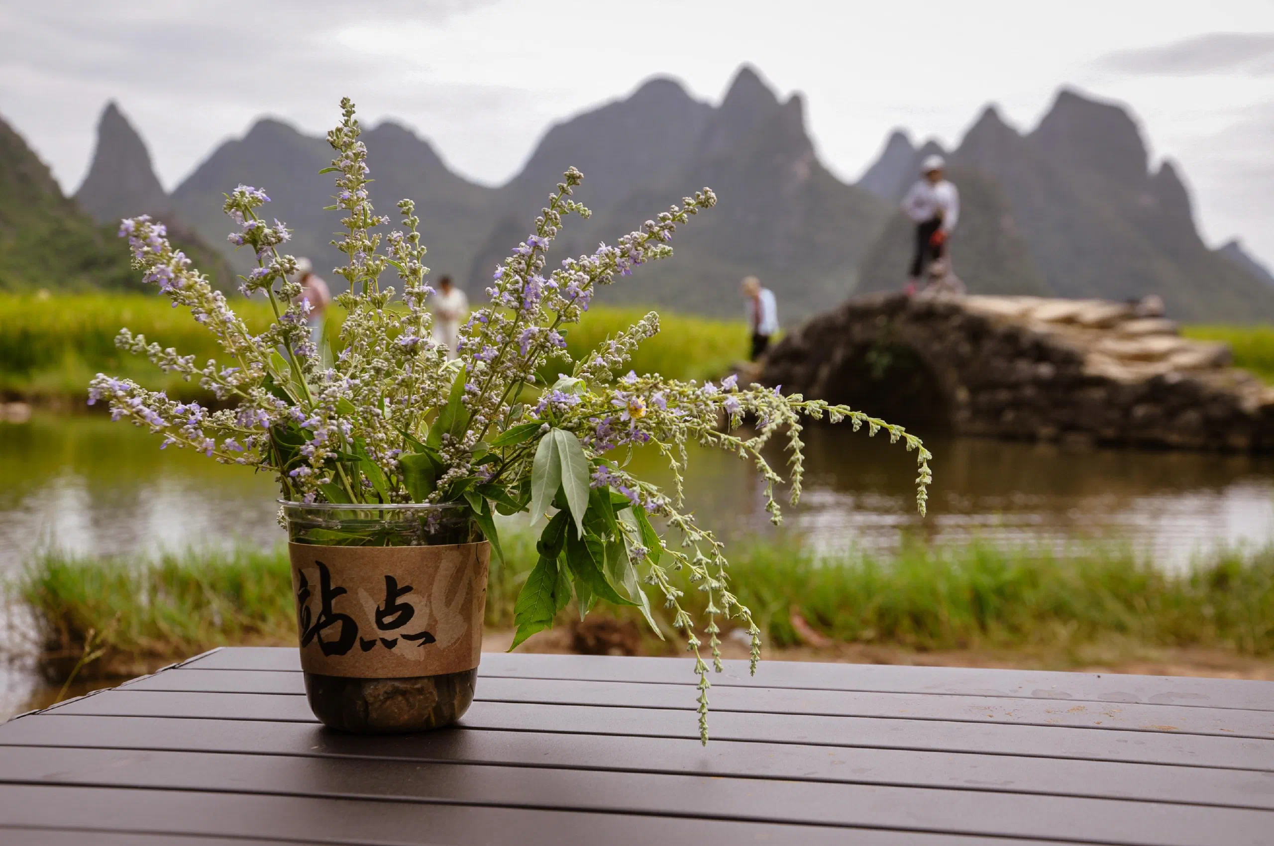 Featured image of post 近况：桂林，树莓派，以及我的 RSS Feed