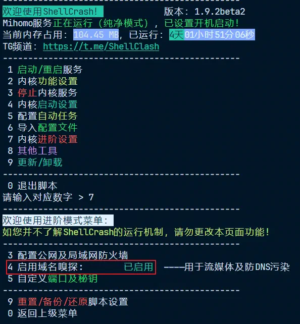 启用域名嗅探